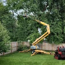 Best Lawn Irrigation Installation and Maintenance  in Elephant Butte, NM